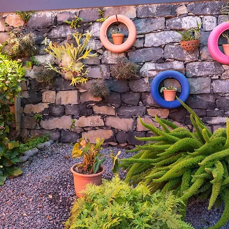 Casa Das Camelias Country house