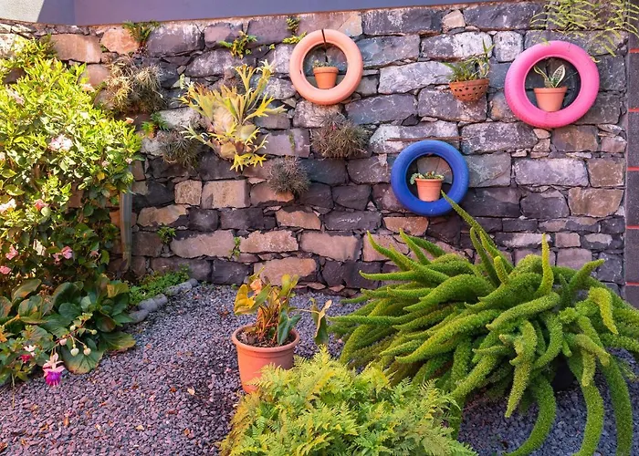 Casa Das Camelias Country house